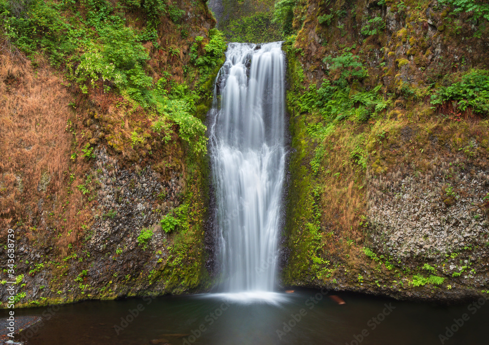 Obraz premium waterfall in the forest