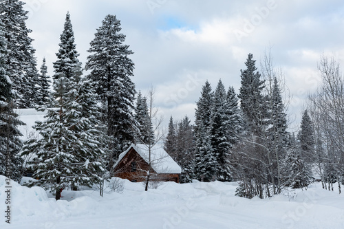 house in the wintery forest with broken clouds and blue sky © David Farnsworth
