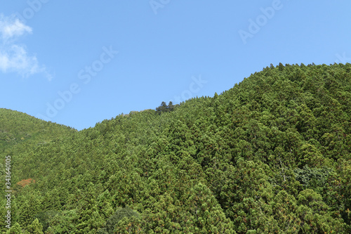 Okutama Mukashi Michi Hike - Japan