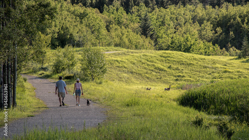 Couple walking the dog in a public park pathway. People going for a walk in nature. Green forest and family of deer in a meadow background