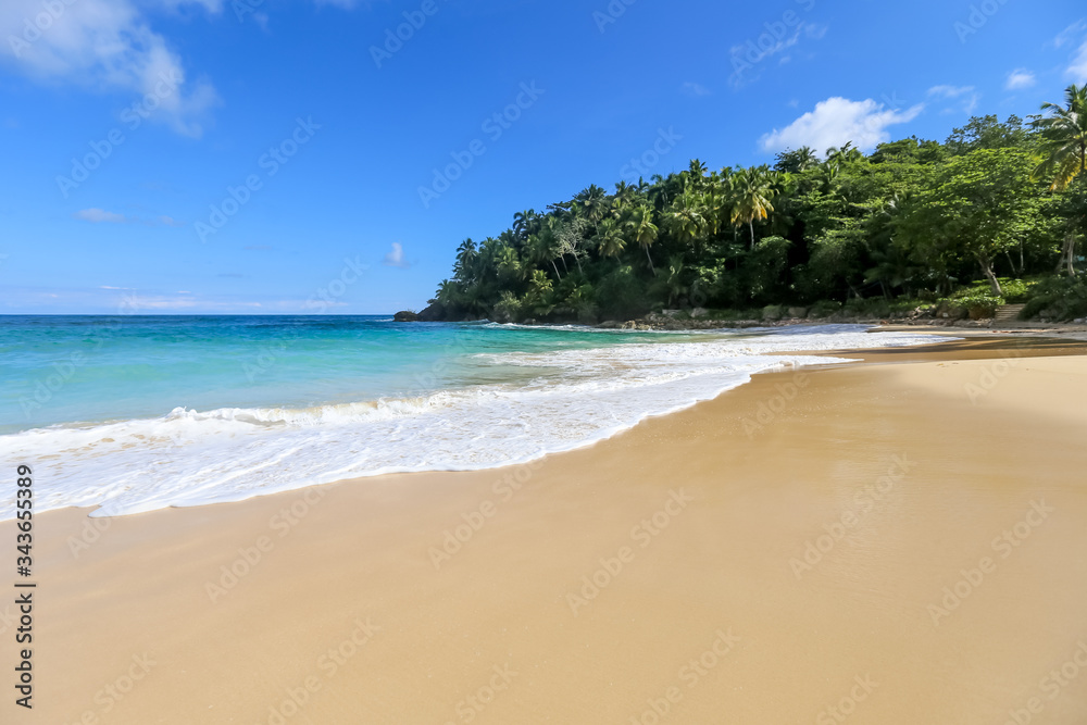 Beach landscape with sand, white foam waves, palm trees, blue sky, turquoise water and clouds, paradise Caribbean coast of Dominican republic 