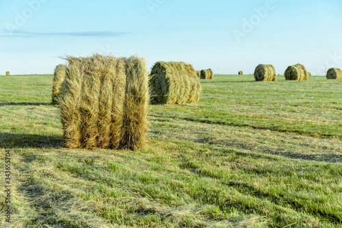 round bales of dry hay in a green field