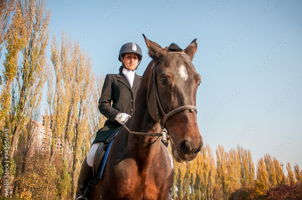 Beautiful Smiling Girl Jockey Stand Next To Her Brown Horse Wearing Special Beautiful Smiling Girl Jockey Stand Next To Her Brown Horse Wearing Special