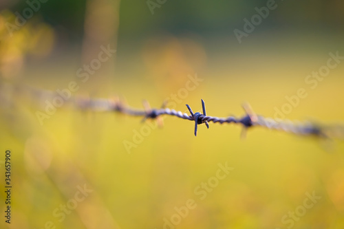 A barbed wire during golden hour with a selective focus and a blurred background.