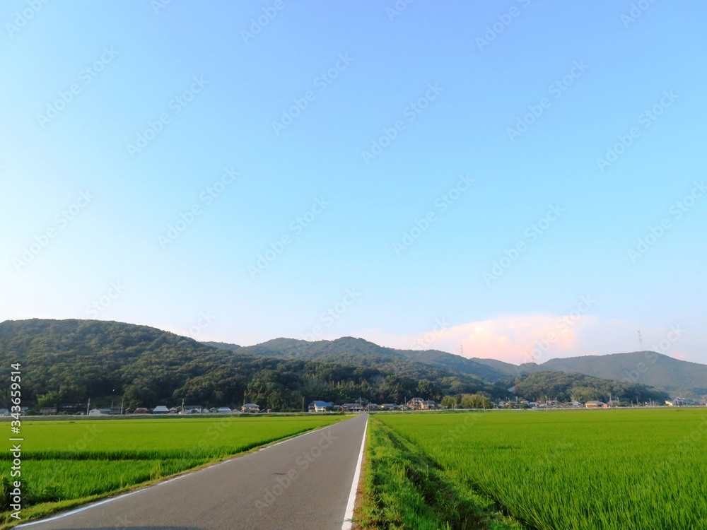 日本の田舎の風景　8月　田舎道