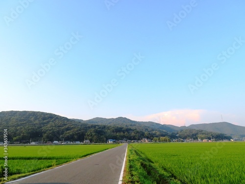 日本の田舎の風景 8月 田舎道