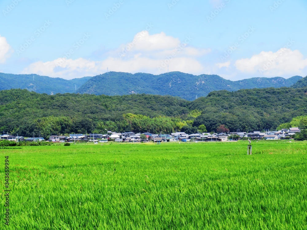 日本の田舎の風景　8月　田んぼと山と空