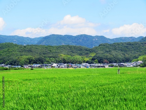 日本の田舎の風景 8月 田んぼと山と空