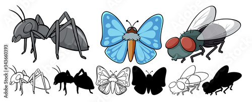 Set of insect cartoon
