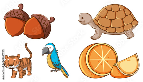 Large set of different animals and other objects on white background