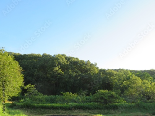 日本の田舎の風景 8月 夏の山の木々と青空