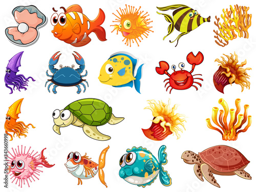 Large set of sea creatures on white background