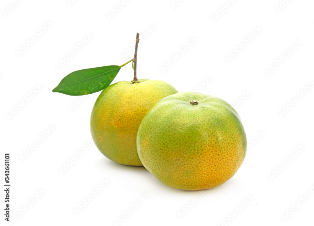 Tangerine Isolated on white background. Honeysuckle tangerine (or Sai Num Peung) is a most famous tangerine from Chiang Mai Thailand. Tangerine Isolated on white background. Honeysuckle tangerine (or Sai Num Peung) is a most famous tangerine from Chiang Mai Thailand.