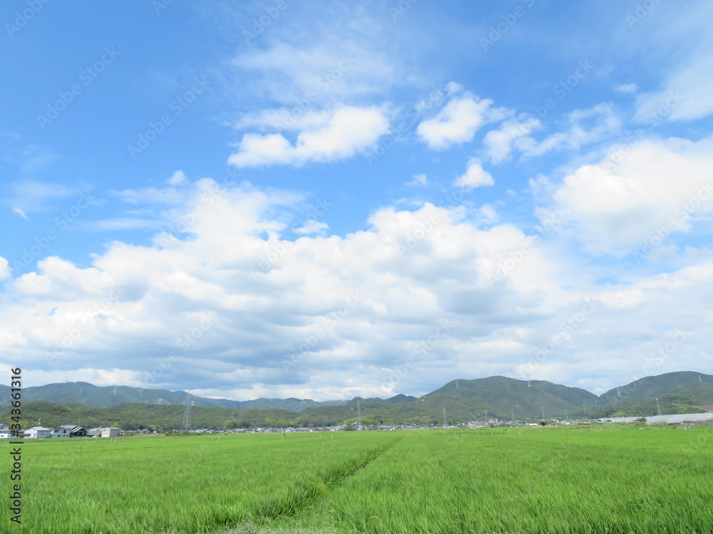 日本の田舎の風景　8月　夏の青空と雲と田舎
