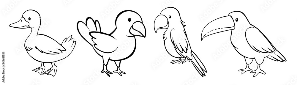 Obraz premium Set of bird outline