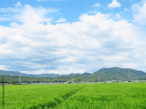日本の田舎の風景 8月 夏の青空と雲と田舎