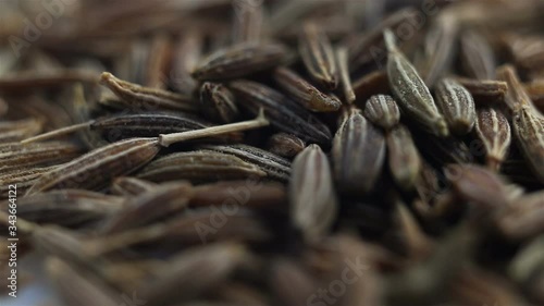 cumin spice seeds are poured from top to bottom. Extreme close-up, real time, low depth of field