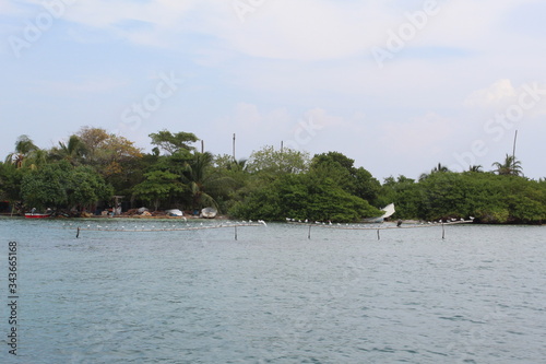 tropical beach with palm trees