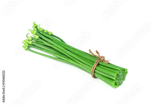 Scallion Flower or Allium cepa or Onion Flower Stem isolated on white background