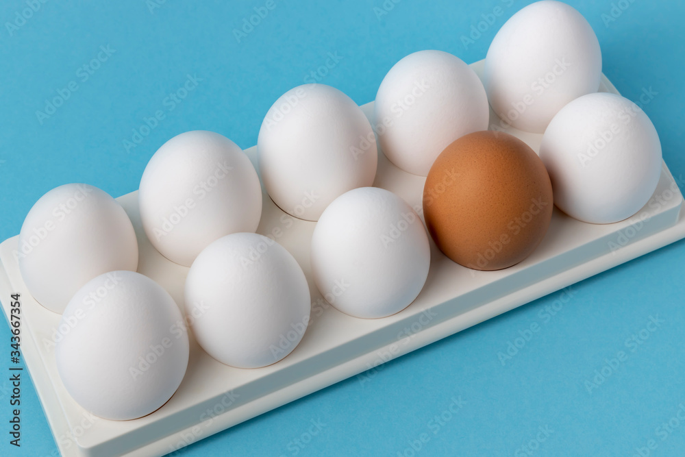 Fototapeta premium Eggs in a tray on a blue background.