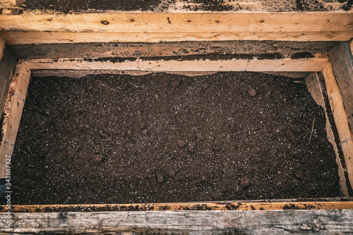 Spring Flower Planting