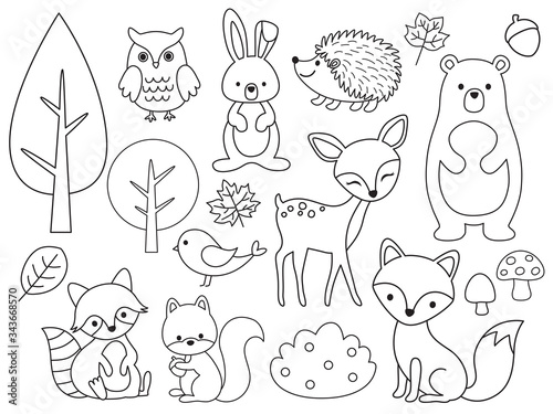 Vector line set of Woodland Animals. Animal outline for coloring including bear, deer, fox, rabbit, raccoon, squirrel, hedgehog, owl, bird. © JungleOutThere