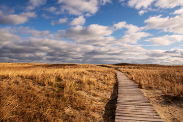 Papier peint photo Le salon Boardwalk leading to beach under beautiful clouds  © Simi Rabinowitz 