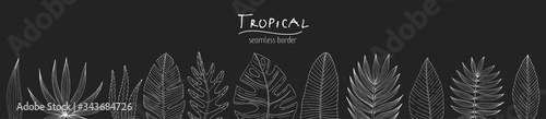 Seamless border from a set of tropical or forest leaves in black and white sketch style on black background, oval, palmate, paired, pinnate, ovoid type