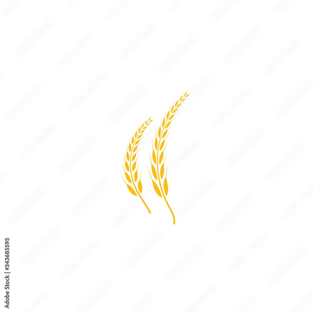 Agriculture wheat Logo Template vector icon Agriculture wheat Logo Template vector icon