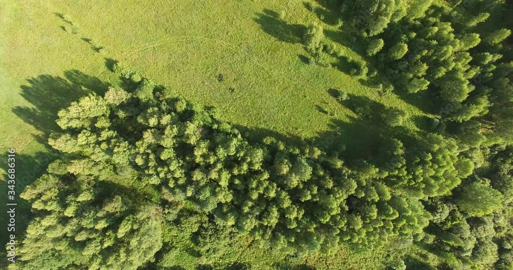 4K aerial bright summer day high quality video footage of lush bright green countryside forest and fields in rural village outskirts in Yaroslavl region of Russia 4K aerial bright summer day high quality video footage of lush bright green countryside forest and fields in rural village outskirts in Yaroslavl region of Russia