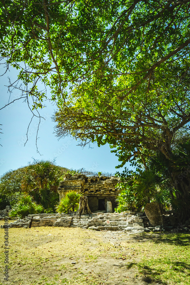 Mayan Ruin Mayan Ruin