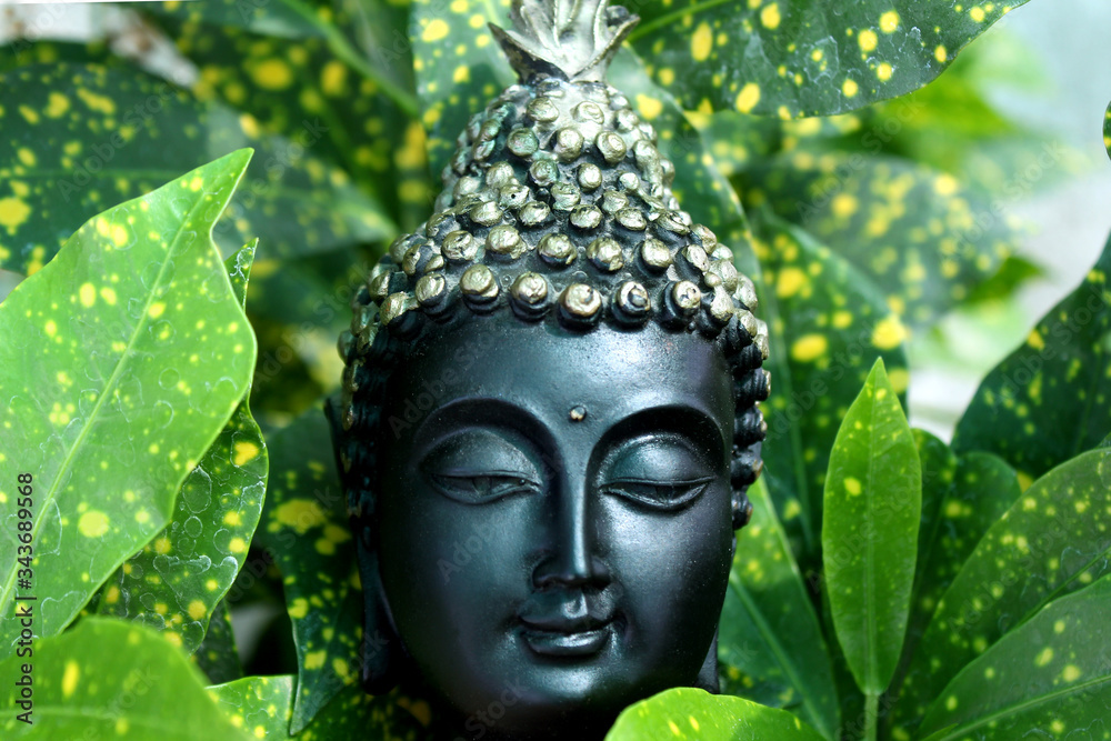 antique buddha god in nature
