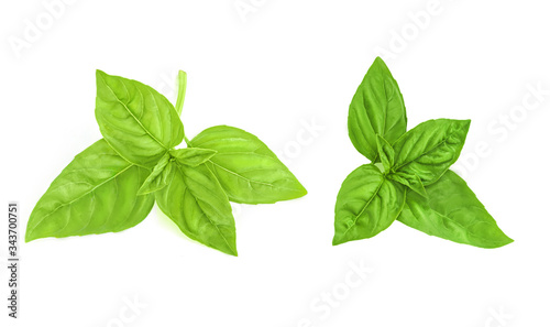 Fresh green basil leaves isolated on white background, top view