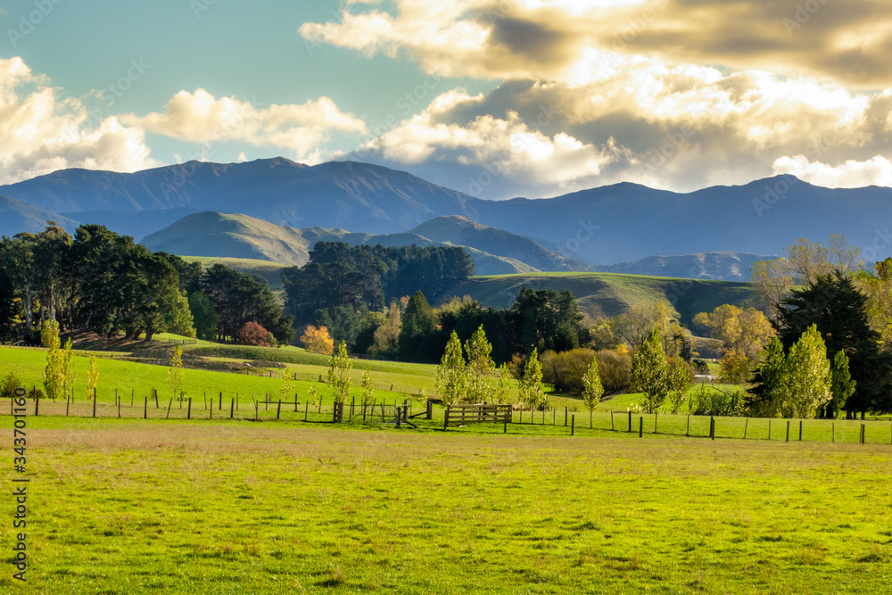 Obraz premium Agricultural rural farmland with a backdrop of the rugged Tararua ranges and hills