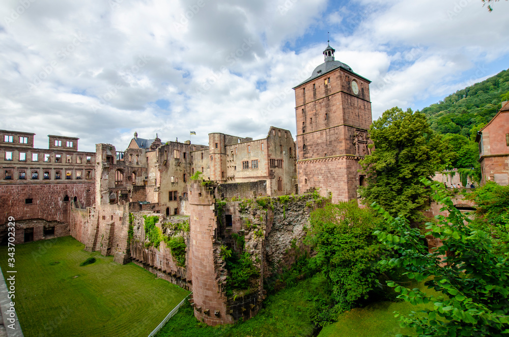 
heidelberg castle ruins on hill with trees 