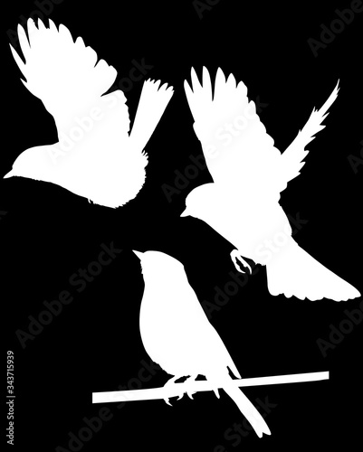 set of three tits white silhouettes illustration