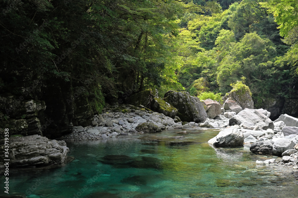 Fototapeta premium 仁淀川