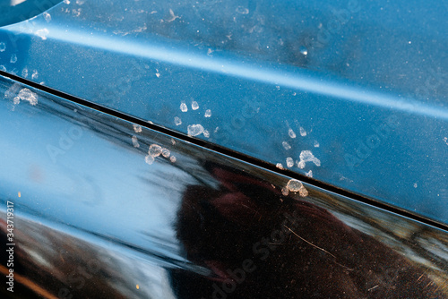 Animal footprints on a dirty car. Cats or martens can chew the wire in the car.