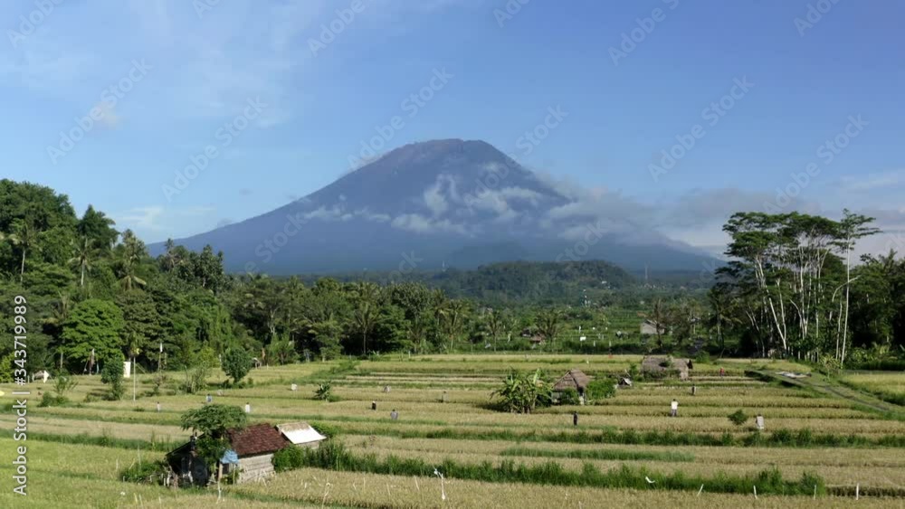Pullback shot over rice fields of Bali, Mt. Agung volcano in the background Pullback shot over rice fields of Bali, Mt. Agung volcano in the background