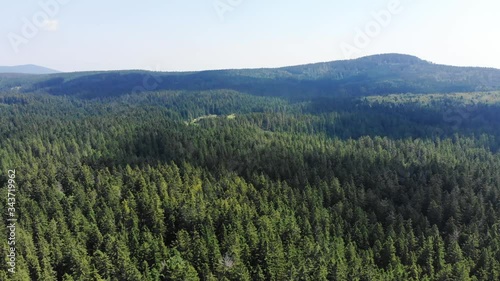 Aerial panning shot of an endless woodland in eastern Slovenia photo