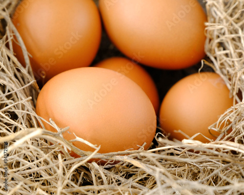 nest with raw chicken eggs on wooden background
