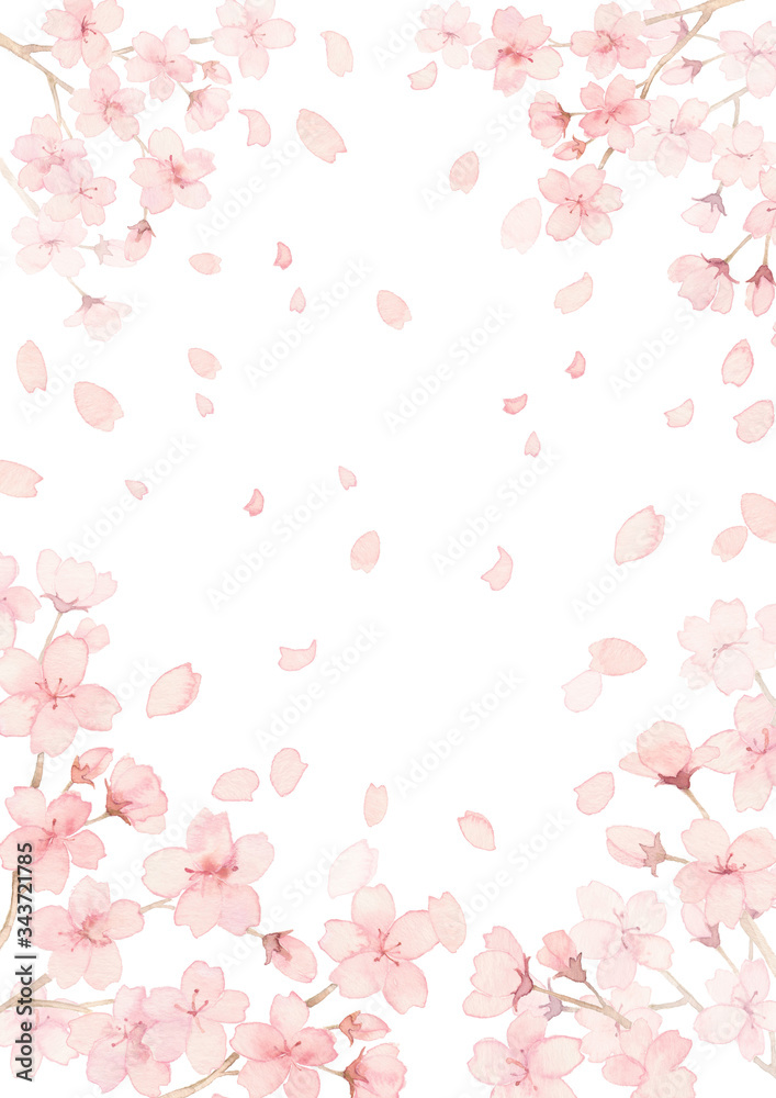 桜満開、花びら舞う