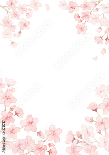 桜満開