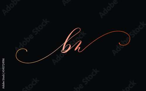 bn or b, n Lowercase Cursive Letter Initial Logo Design, Vector Template