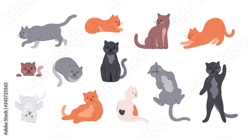 Vector cats. Cute cat set isolated. Funny cartoon animal characters. Different poses and emotions. Flat eps10 illustration.