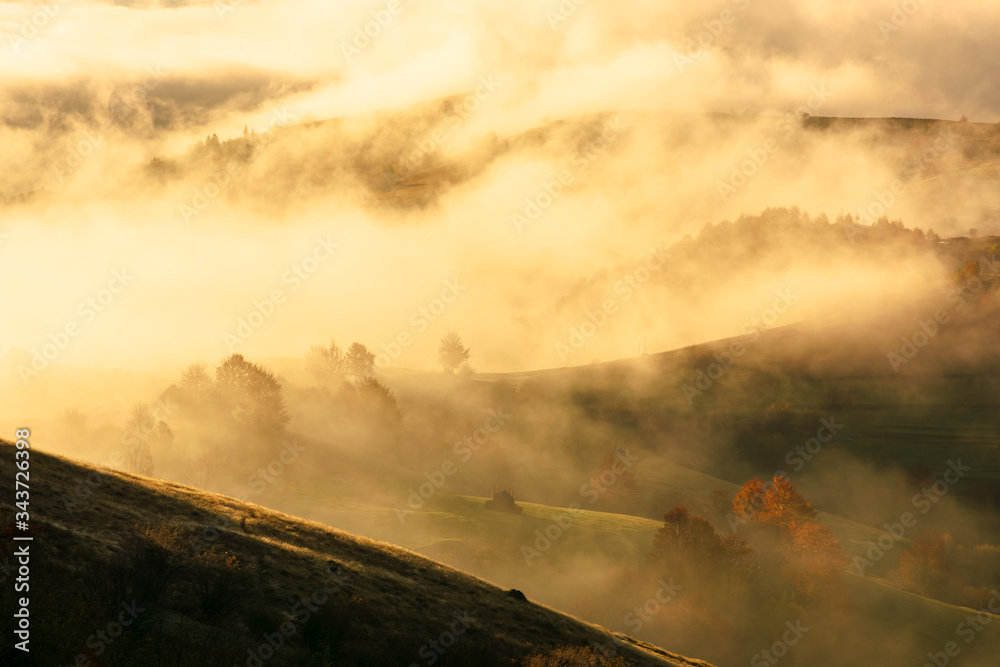 autumn sunset in mountains. tree top among the fog rolling through hills. mysterious nature scenery