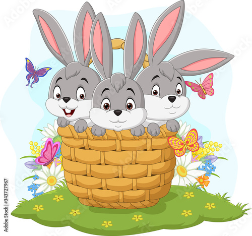 Three rabbits cartoon in the basket