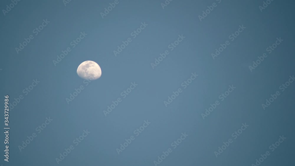 Bright Moon In Waning Gibbous Phase Moving During The Day In Tokyo, Japan With Clear Blue Sky In The Background - Closeup Shot Bright Moon In Waning Gibbous Phase Moving During The Day In Tokyo, Japan With Clear Blue Sky In The Background - Closeup Shot