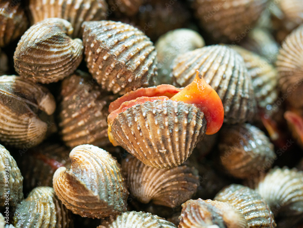 Fresh cockle in the market at Thailand. Selective focus.