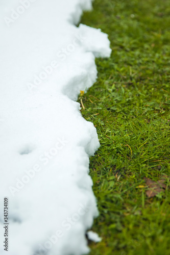 Melting snow on green grass...